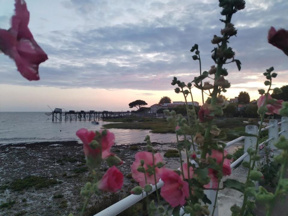 Rose Pompon House in Fouras