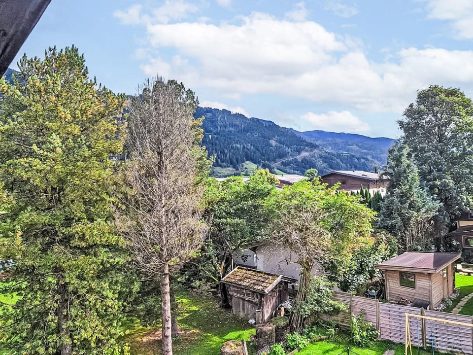 View (from property/room)