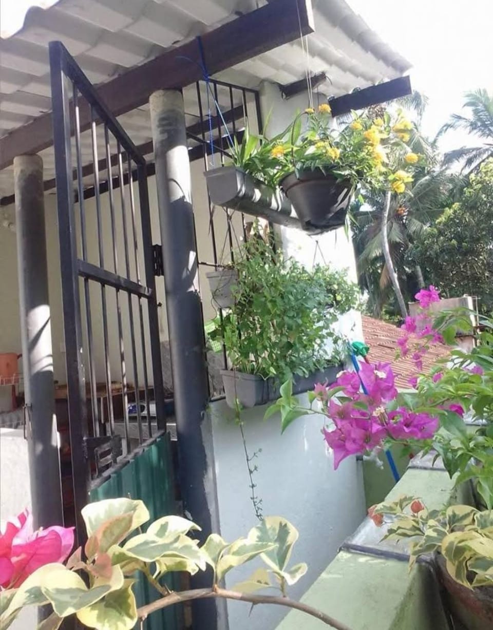 Little Nest Apartment in Western Province