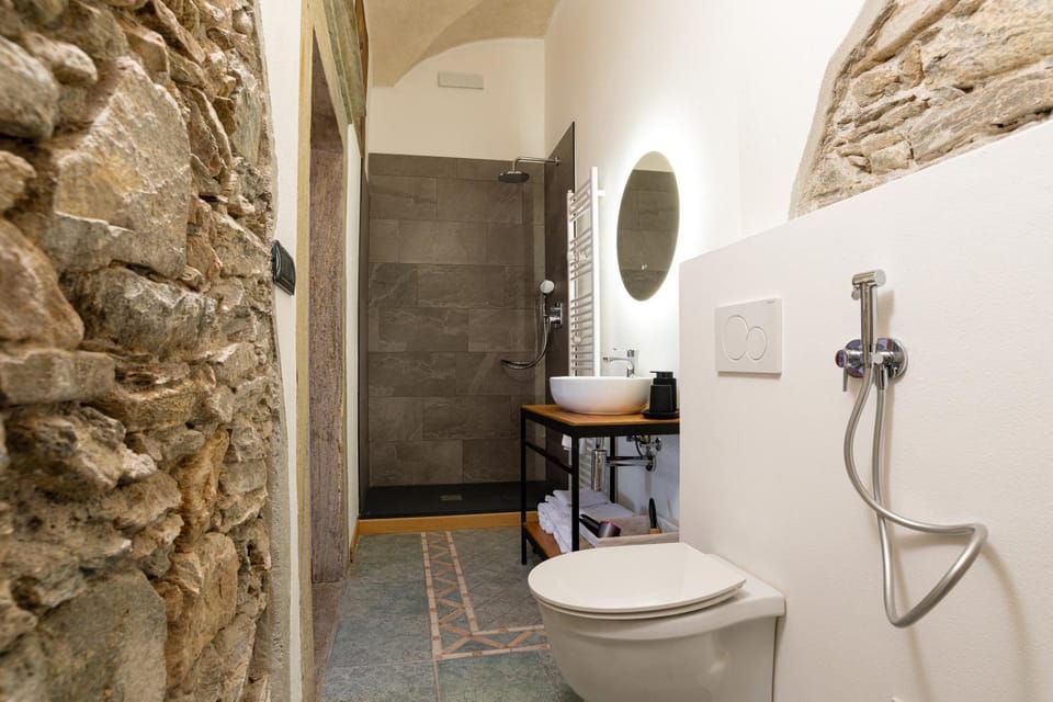 Shower, Toilet, Bathroom, hair dryier