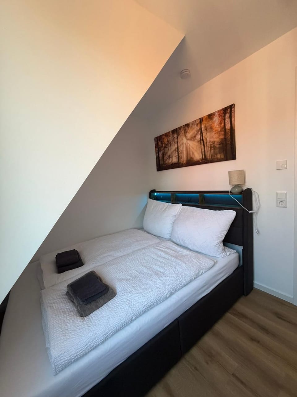 Photo of the whole room, Bedroom, towels