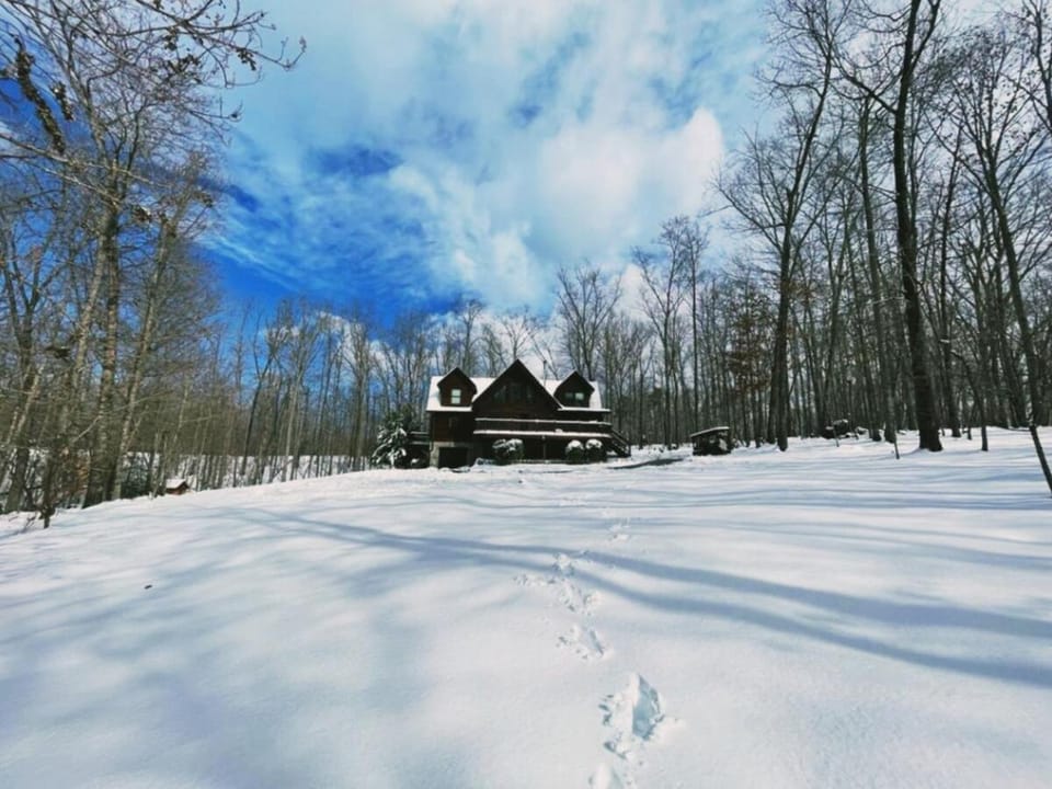 Property building, Natural landscape, Winter
