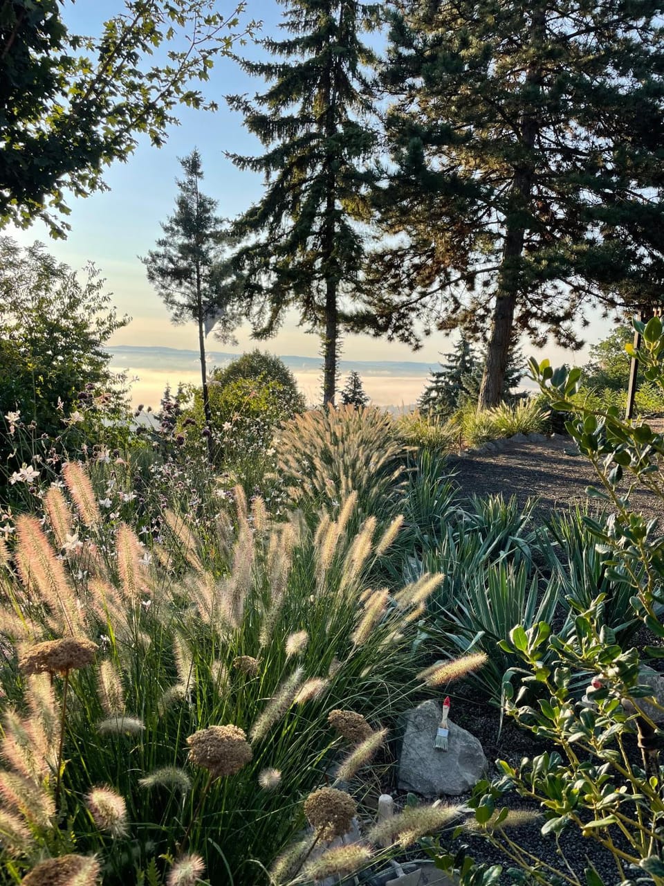 Day, Natural landscape, Garden, Garden view