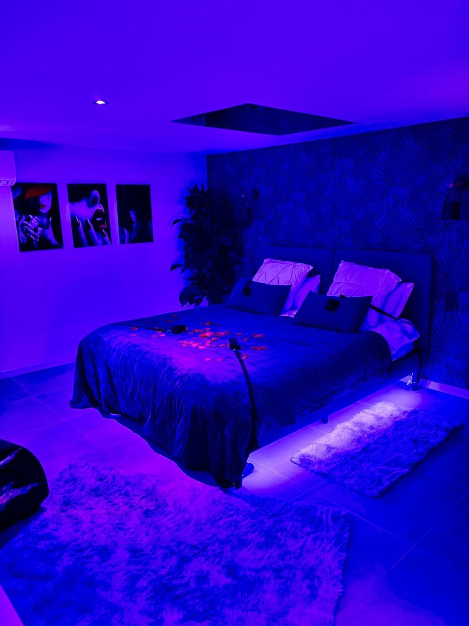 Bed, Photo of the whole room