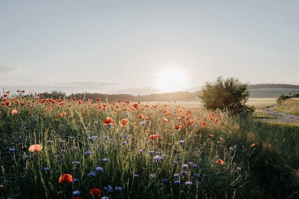 Natural landscape