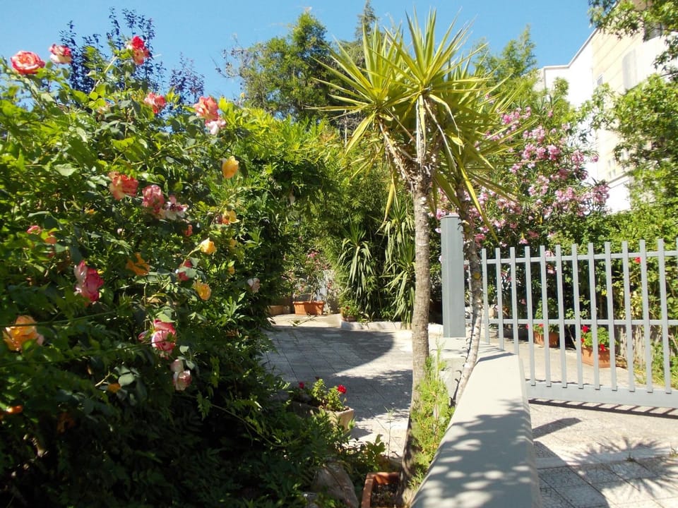 B&B Il Bambù Bed and Breakfast in Apulia