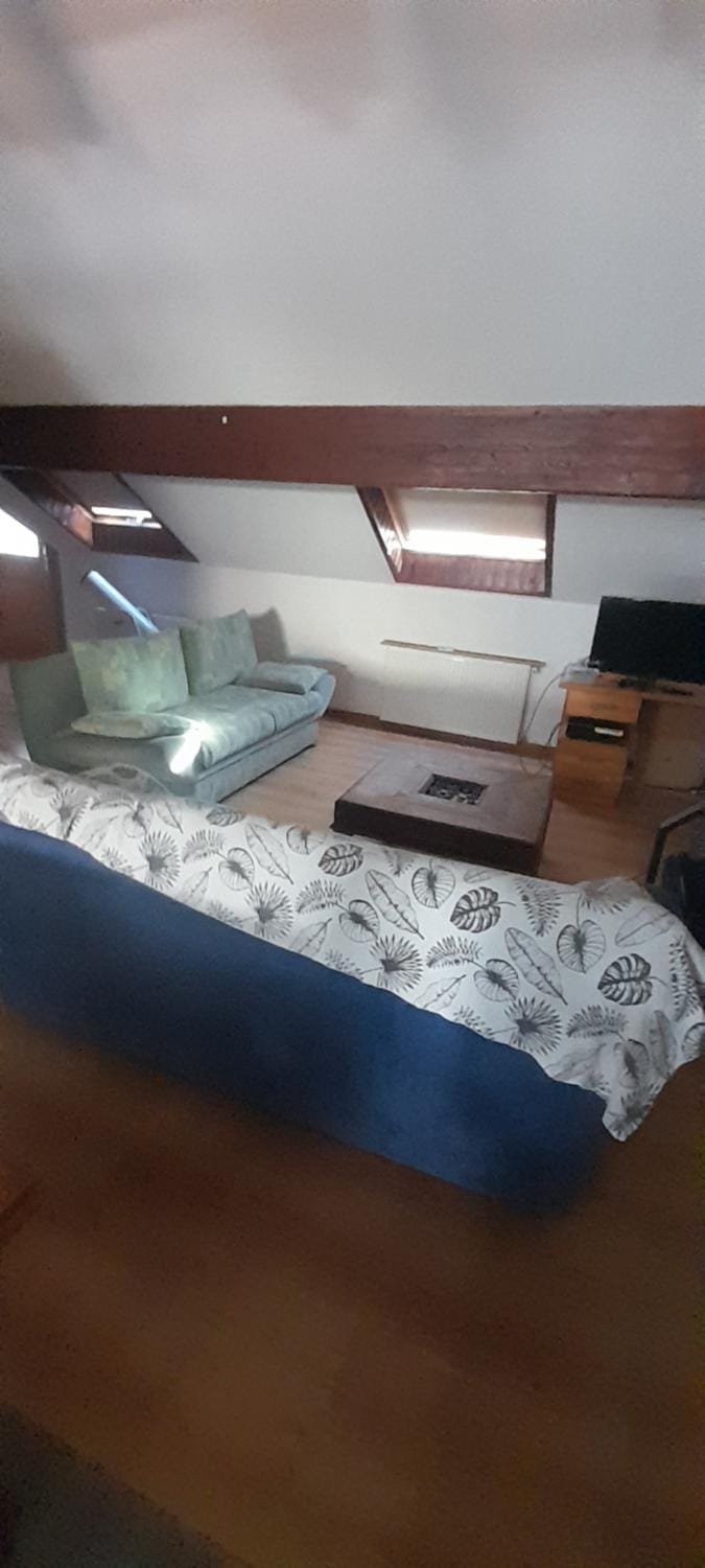 Cecric Apartment in Haute-Savoie
