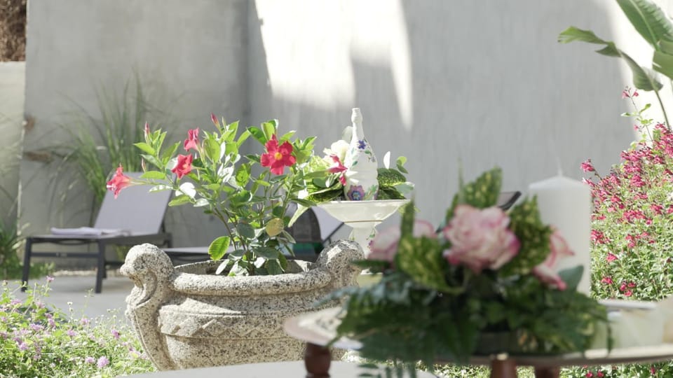 Garden, Garden view
