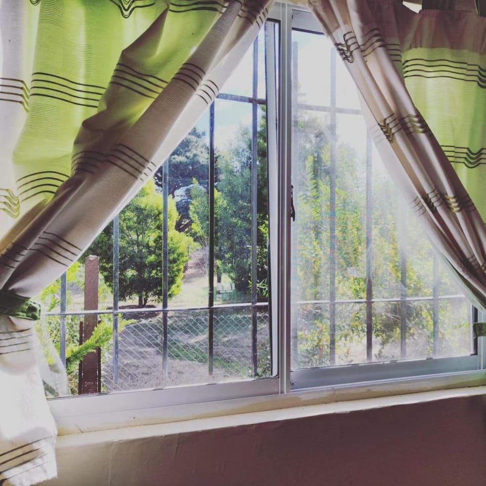 Day, Garden view
