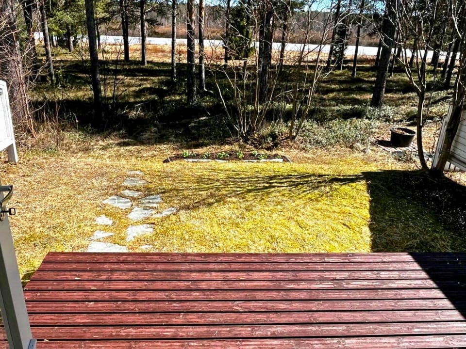 Spring, Day, Natural landscape, Garden view