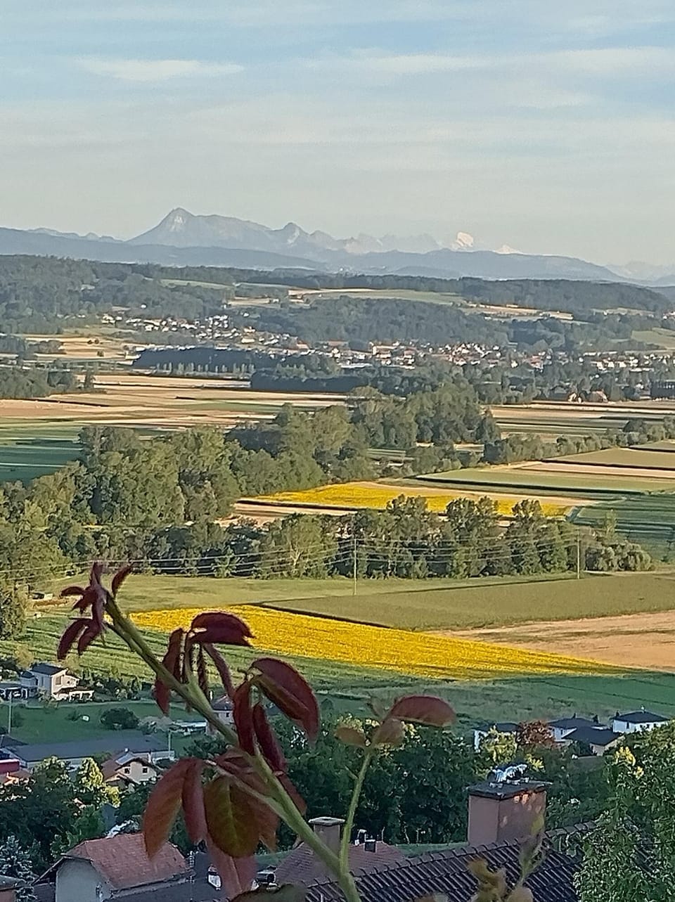 Mountain view