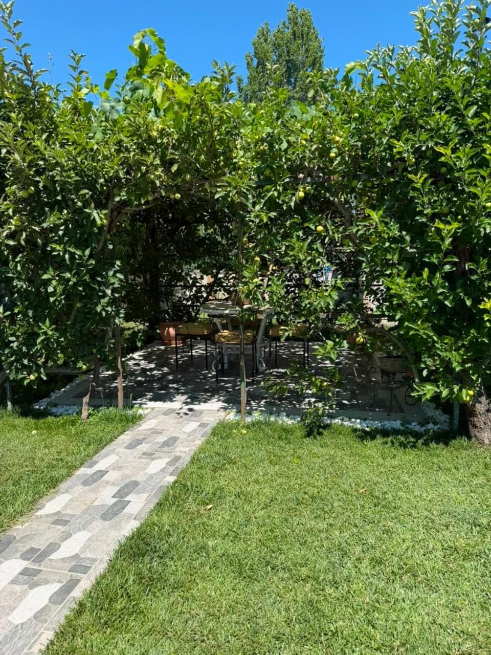 Patio, Balcony/Terrace