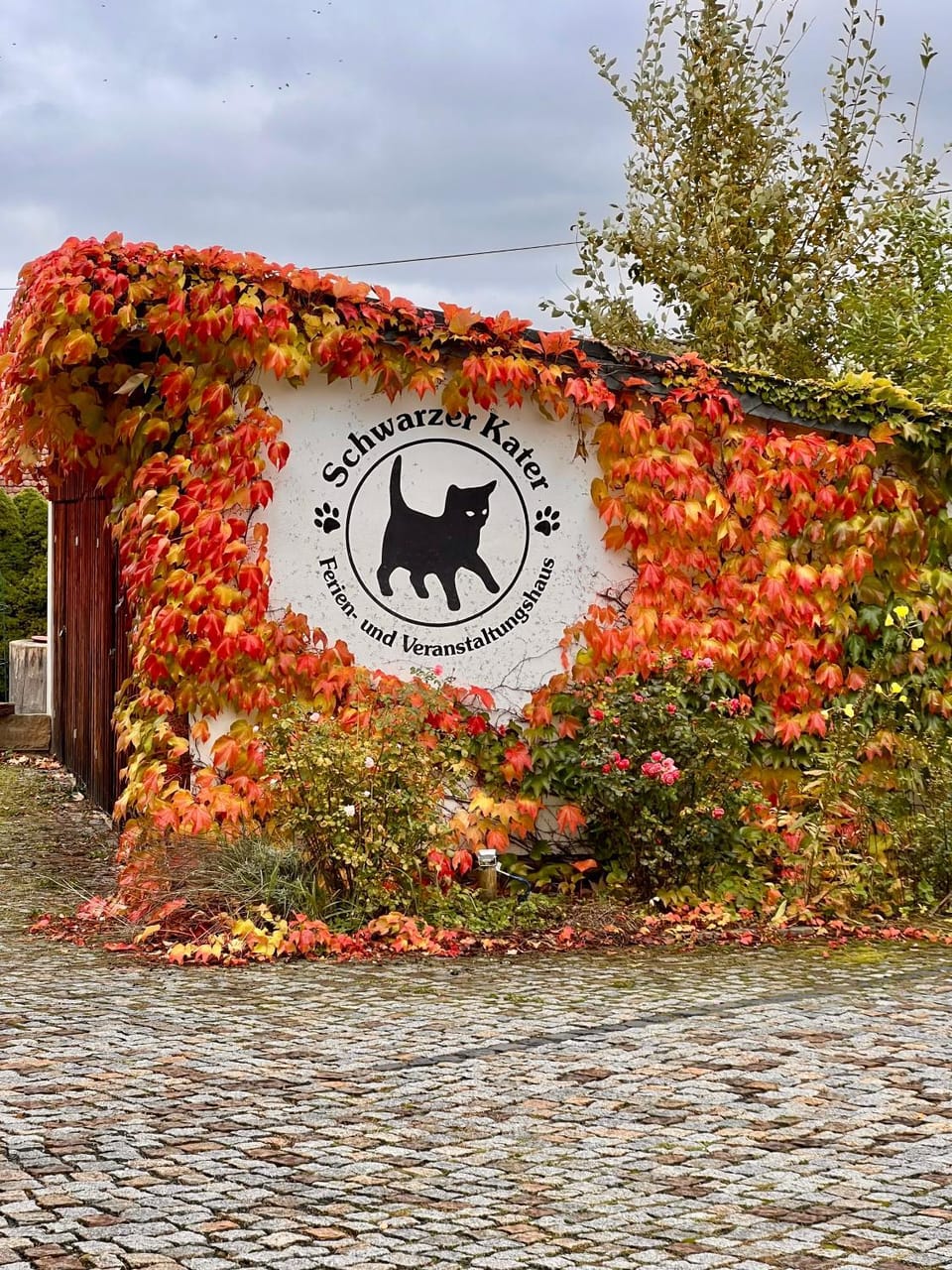 Schwarzer Kater House in Saxony