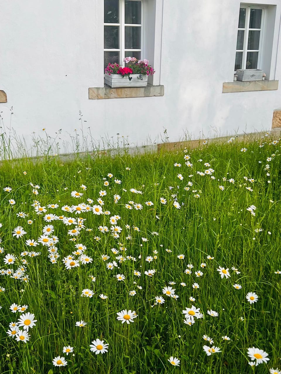 Schwarzer Kater House in Saxony