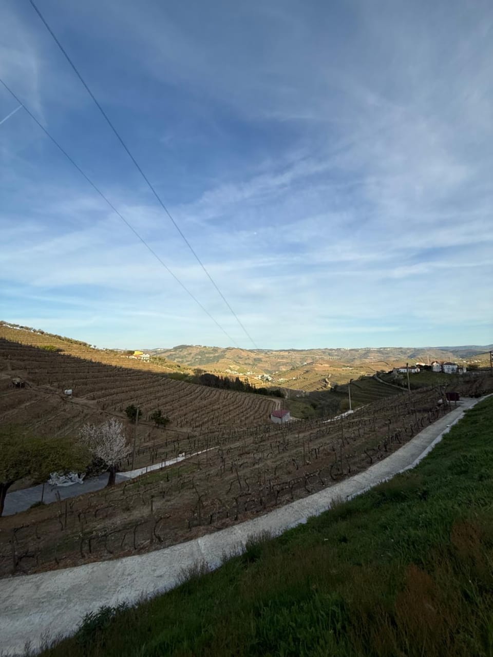 Quinta Da Batoca Farm Stay in Vila Real District