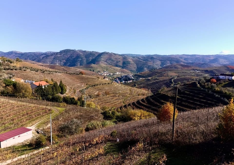 Quinta Da Batoca Farm Stay in Vila Real District