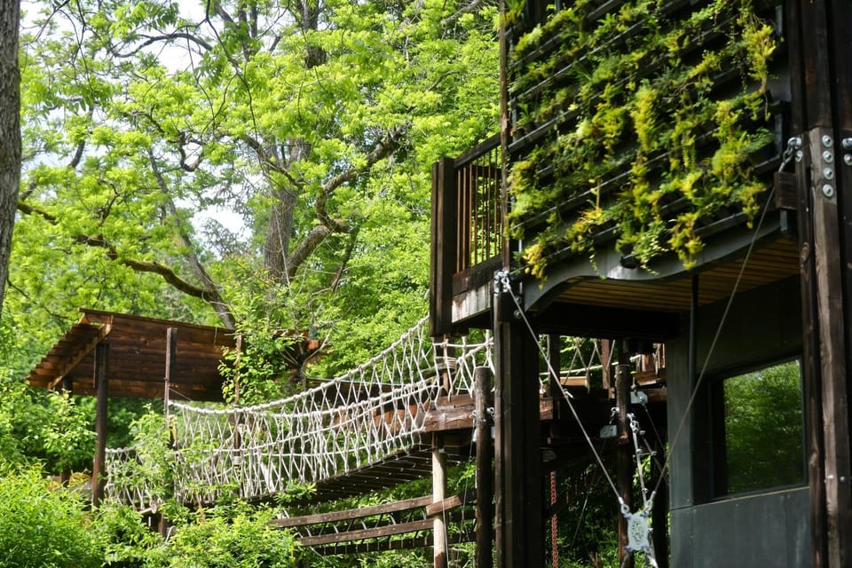 Zero Zero Treehouse Villa in Forest of Dean