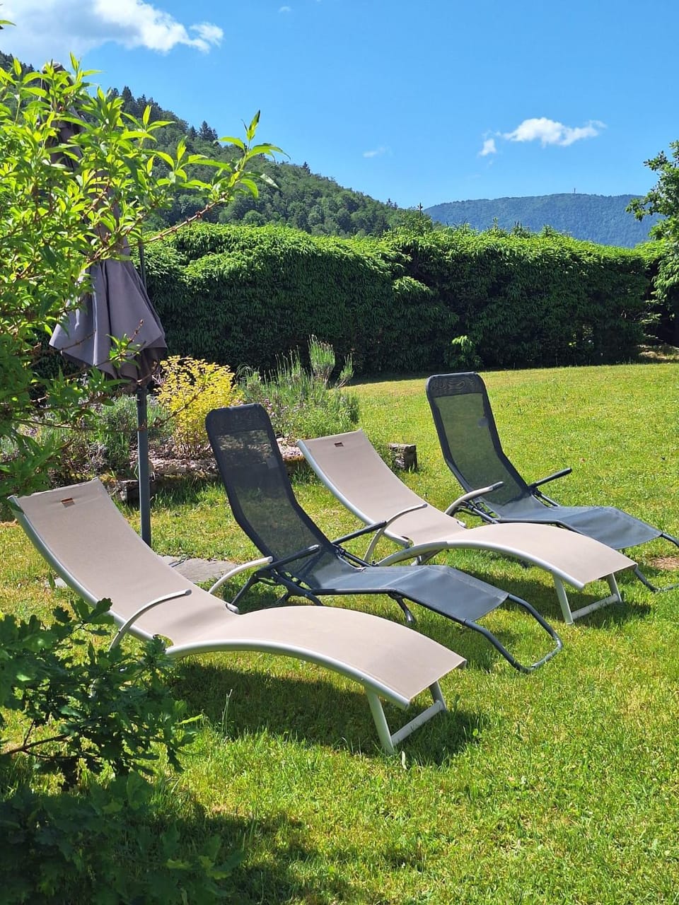Natural landscape, Garden, sunbed