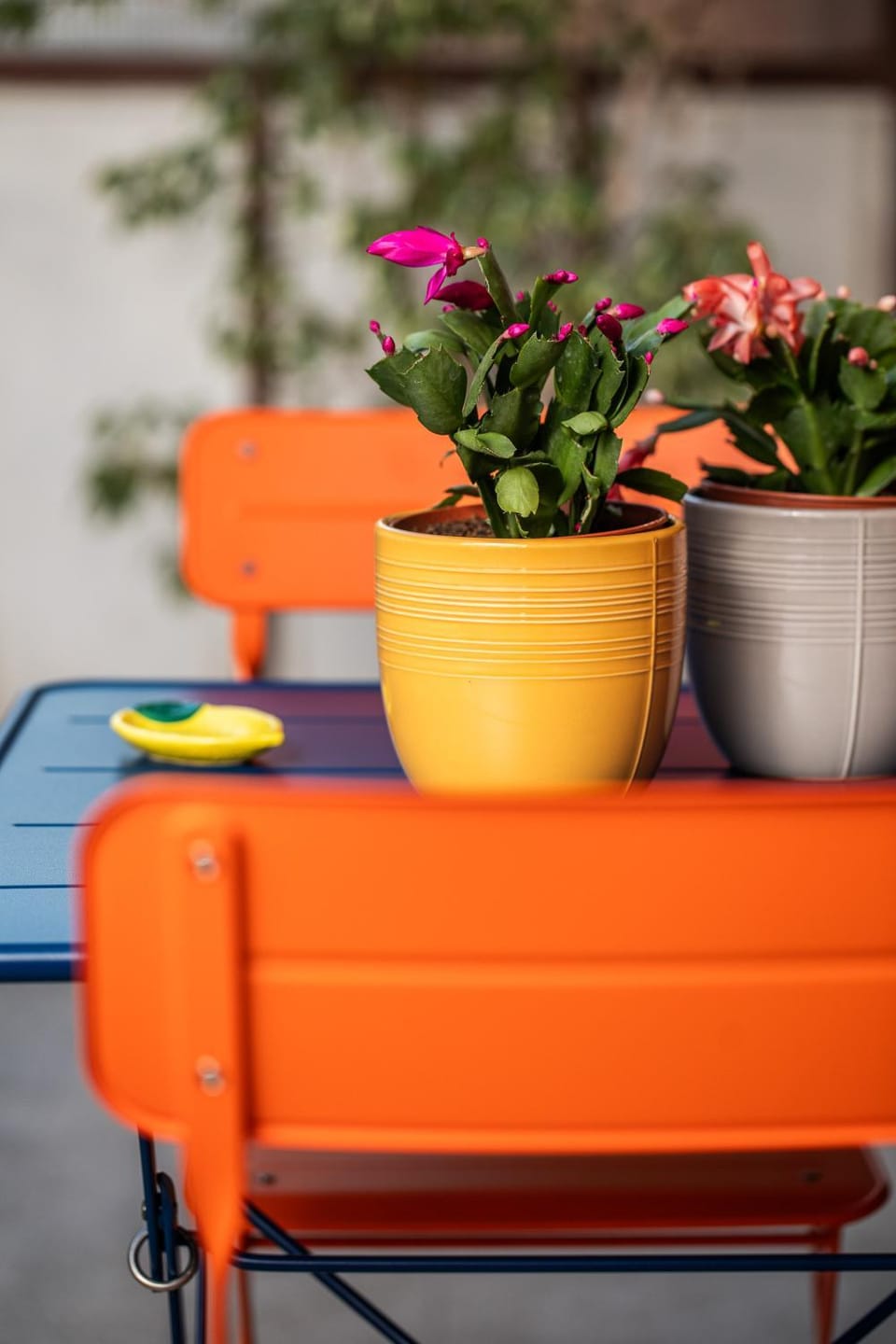 Day, Balcony/Terrace