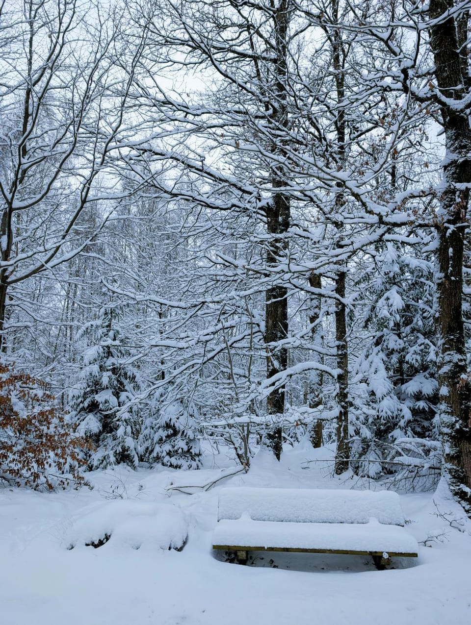 Ferienwohnung Lygri Apartment in North Rhine-Westphalia