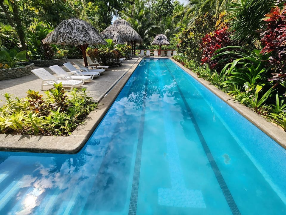 Pool view, Swimming pool, sunbed