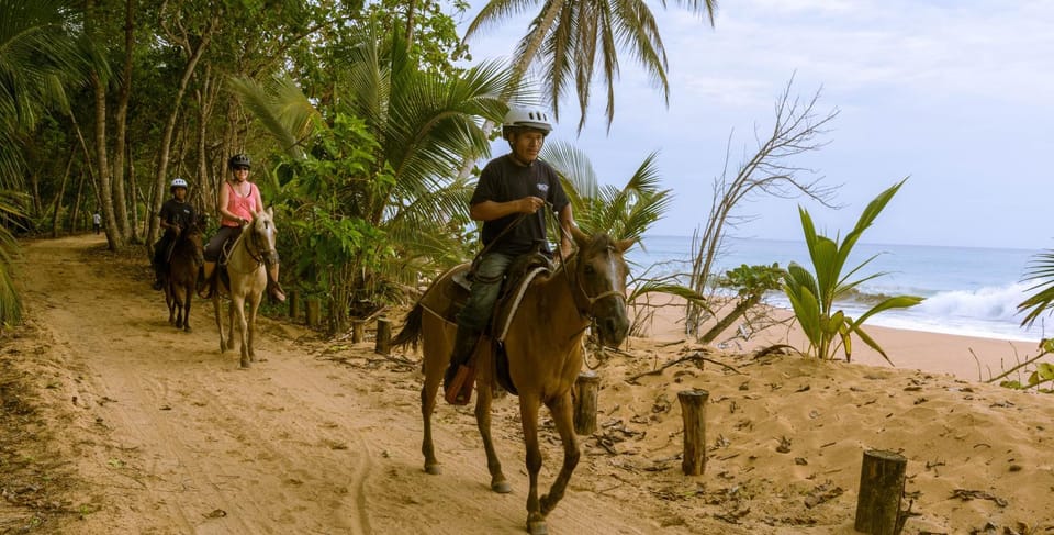People, Horse-riding, Beach