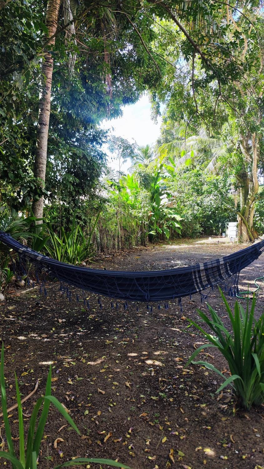 Chalé Rústico Cumuruxatiba House in State of Bahia