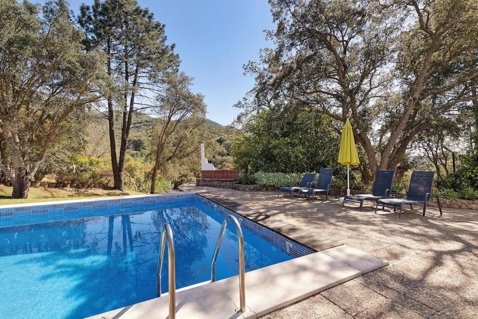 Natural landscape, Garden, Pool view, Swimming pool, Open Air Bath, sunbed