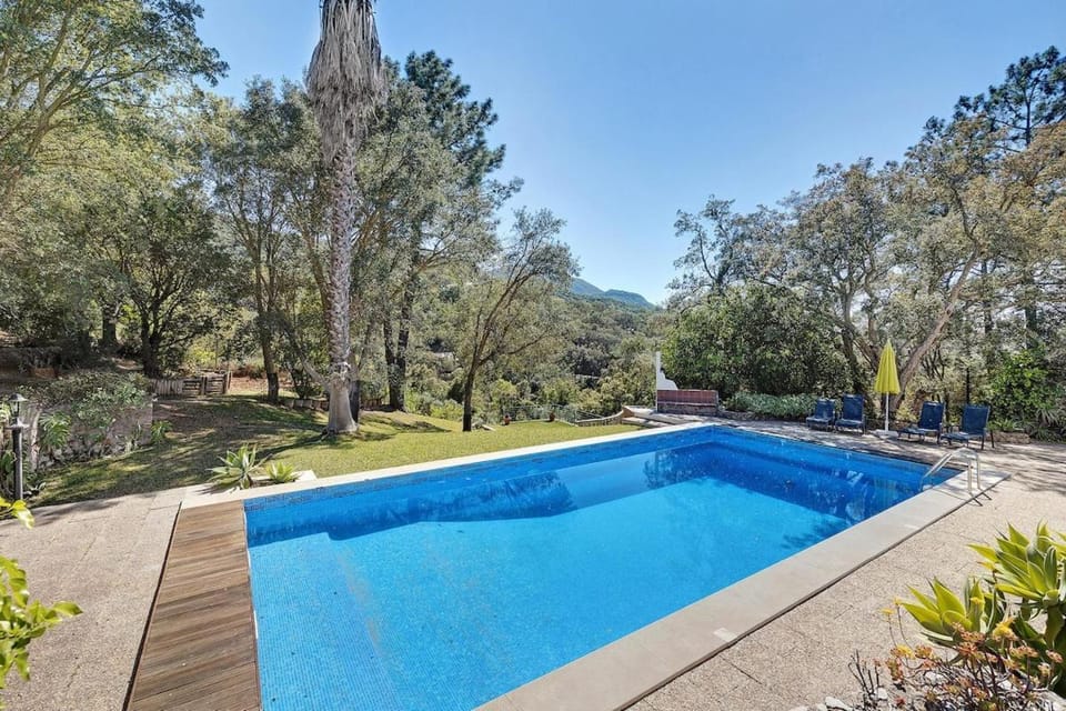 Natural landscape, Garden, Garden view, Pool view, Swimming pool, sunbed