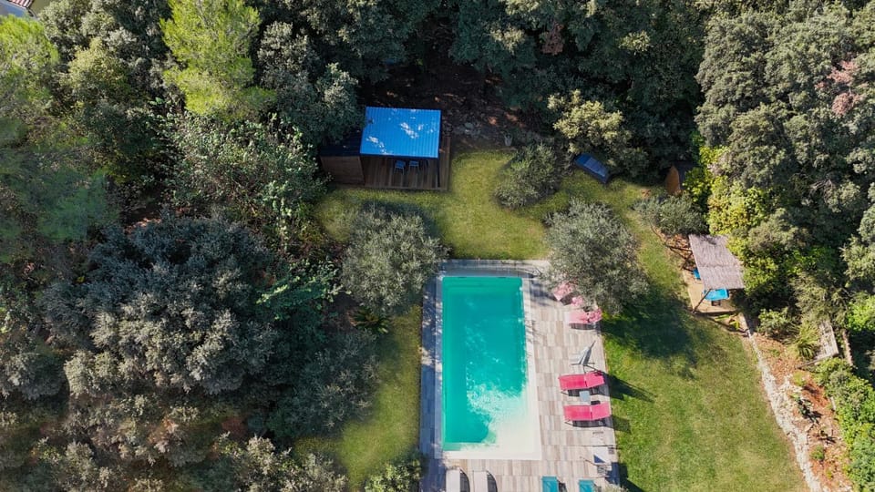 Garden, Swimming pool, Swimming pool