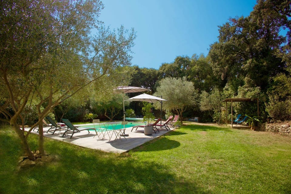 Natural landscape, Garden, Garden, Garden view, Pool view, Swimming pool, Swimming pool, sunbed