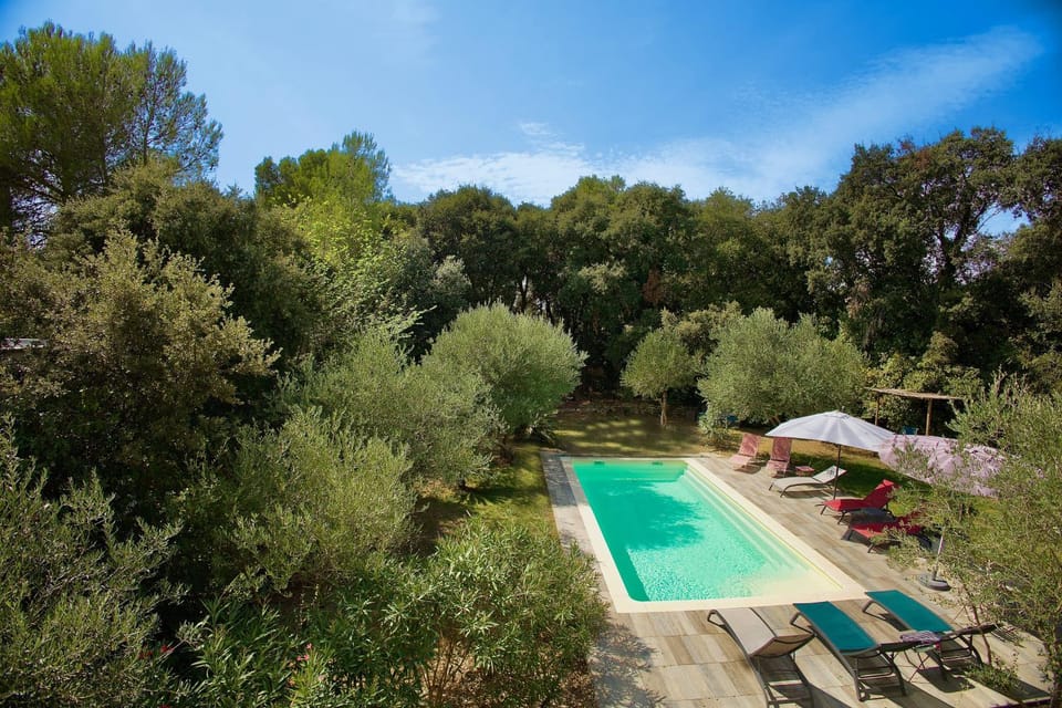 Natural landscape, Garden, Garden, Garden view, Swimming pool, Swimming pool, sunbed