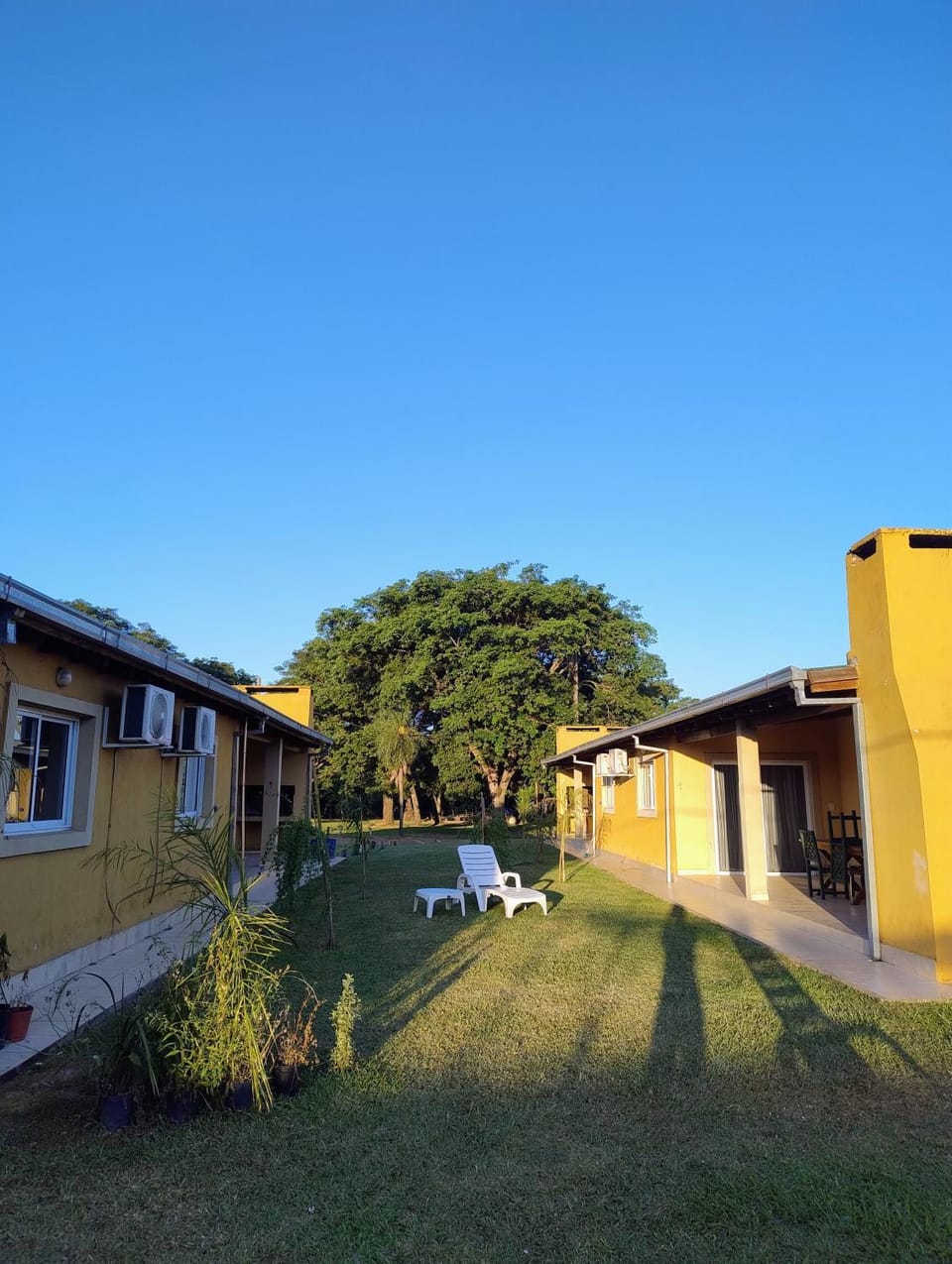 Garden view