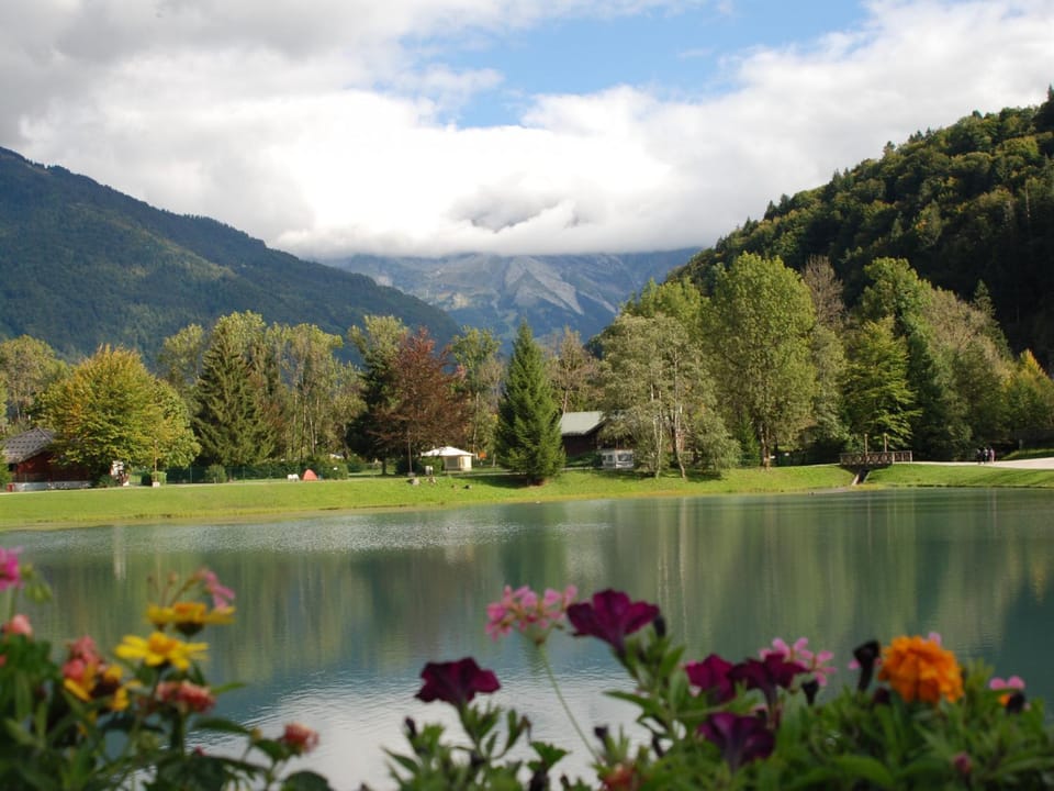 Studio cosy pour 4 personnes à Samoëns - FR-1-846-31 Apartment in Samoëns