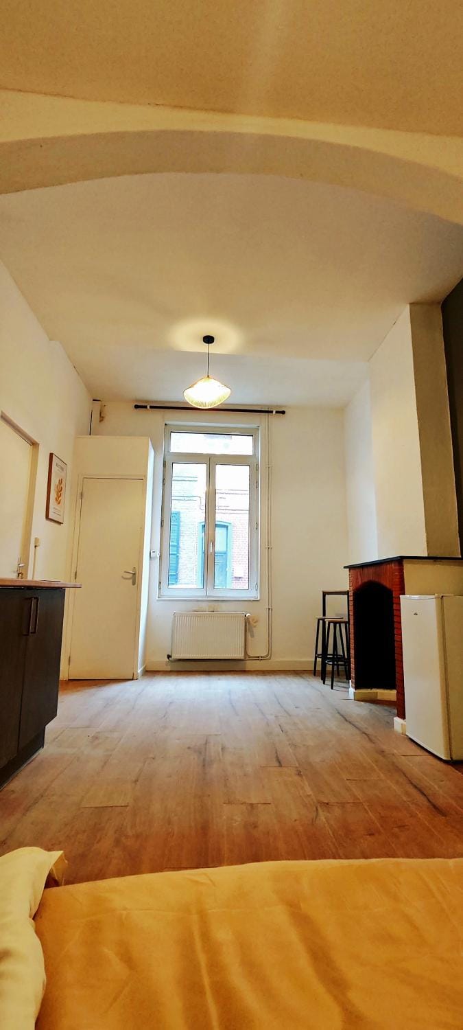 Studio cozy et fonctionnel au coeur de Roubaix Apartment in Hauts-de-France