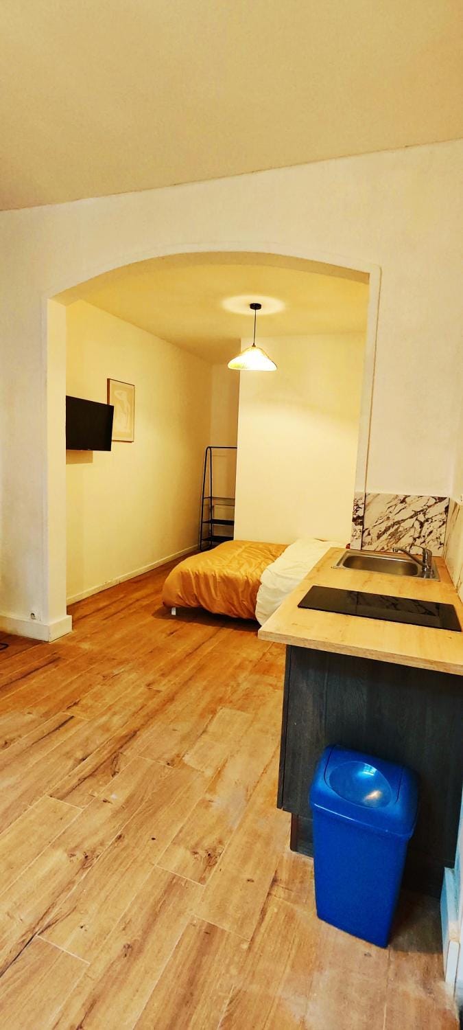 Studio cozy et fonctionnel au coeur de Roubaix Apartment in Hauts-de-France