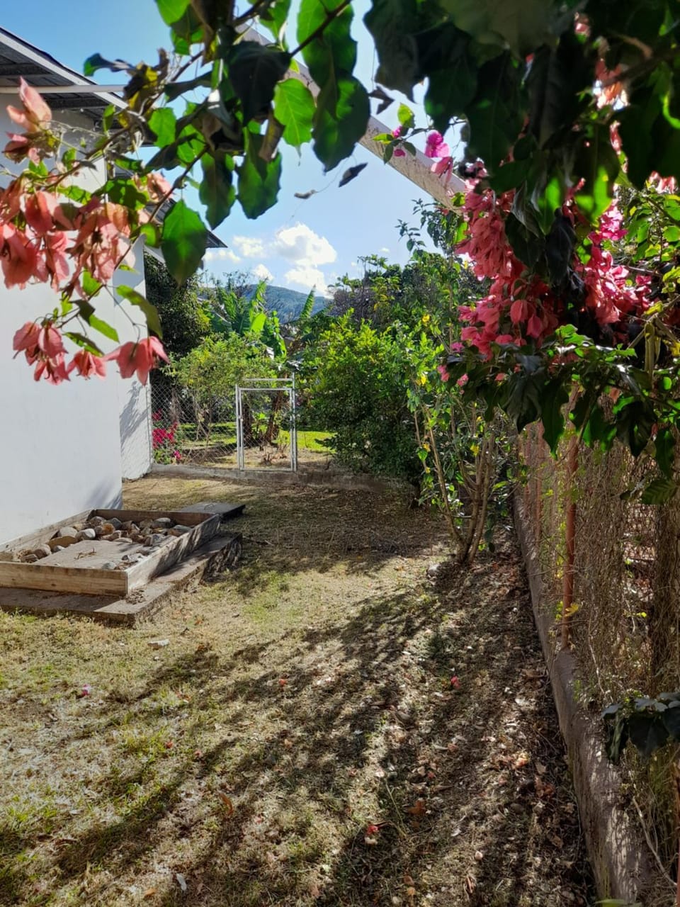 Garden, Garden view