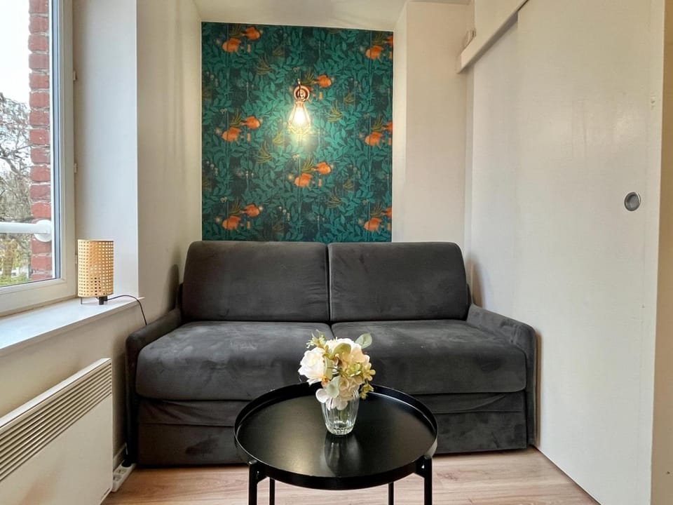 Small Studio in the Heart of Lille Apartment in Lille