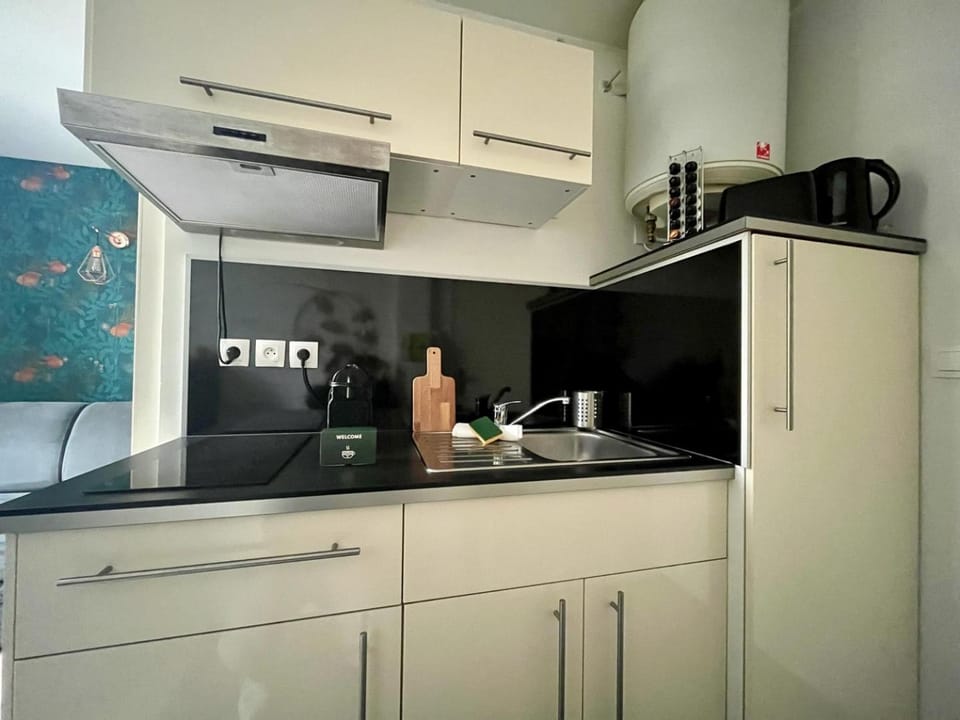 Small Studio in the Heart of Lille Apartment in Lille