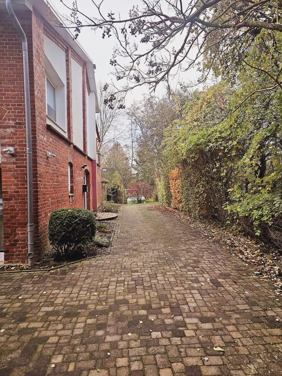 Property building, Garden view