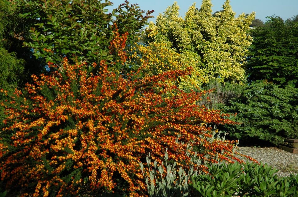 Garden, Garden view