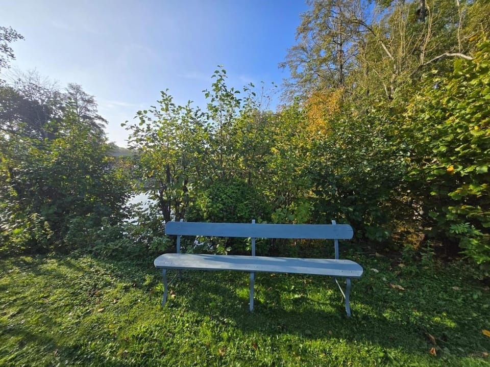 Natural landscape, Garden view