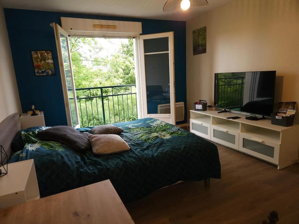 Orleans appartement 31 m2 Apartment in Centre-Val de Loire