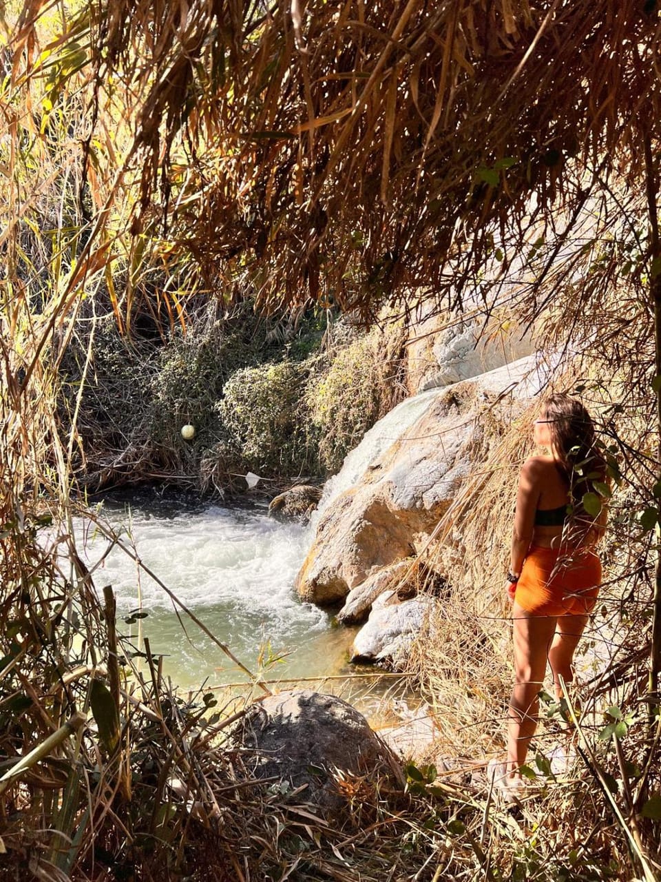 Garden, Swimming pool