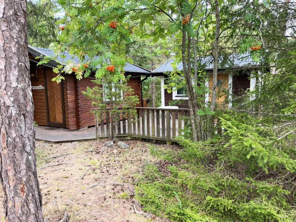 Patio, Garden, Garden view