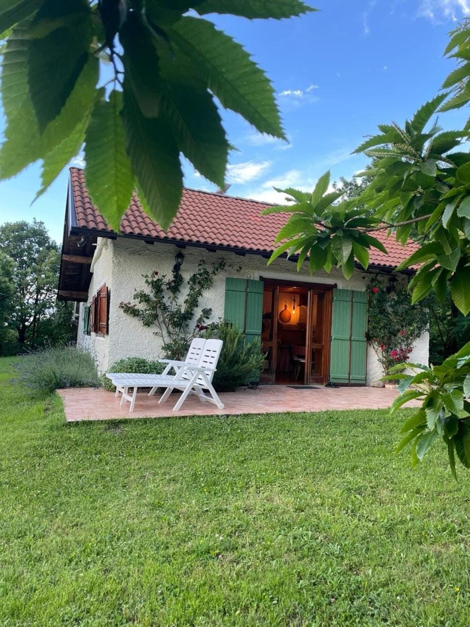 Property building, Patio, Garden