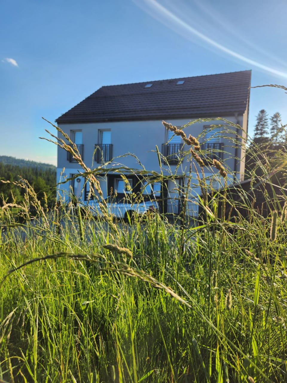 Property building, Garden