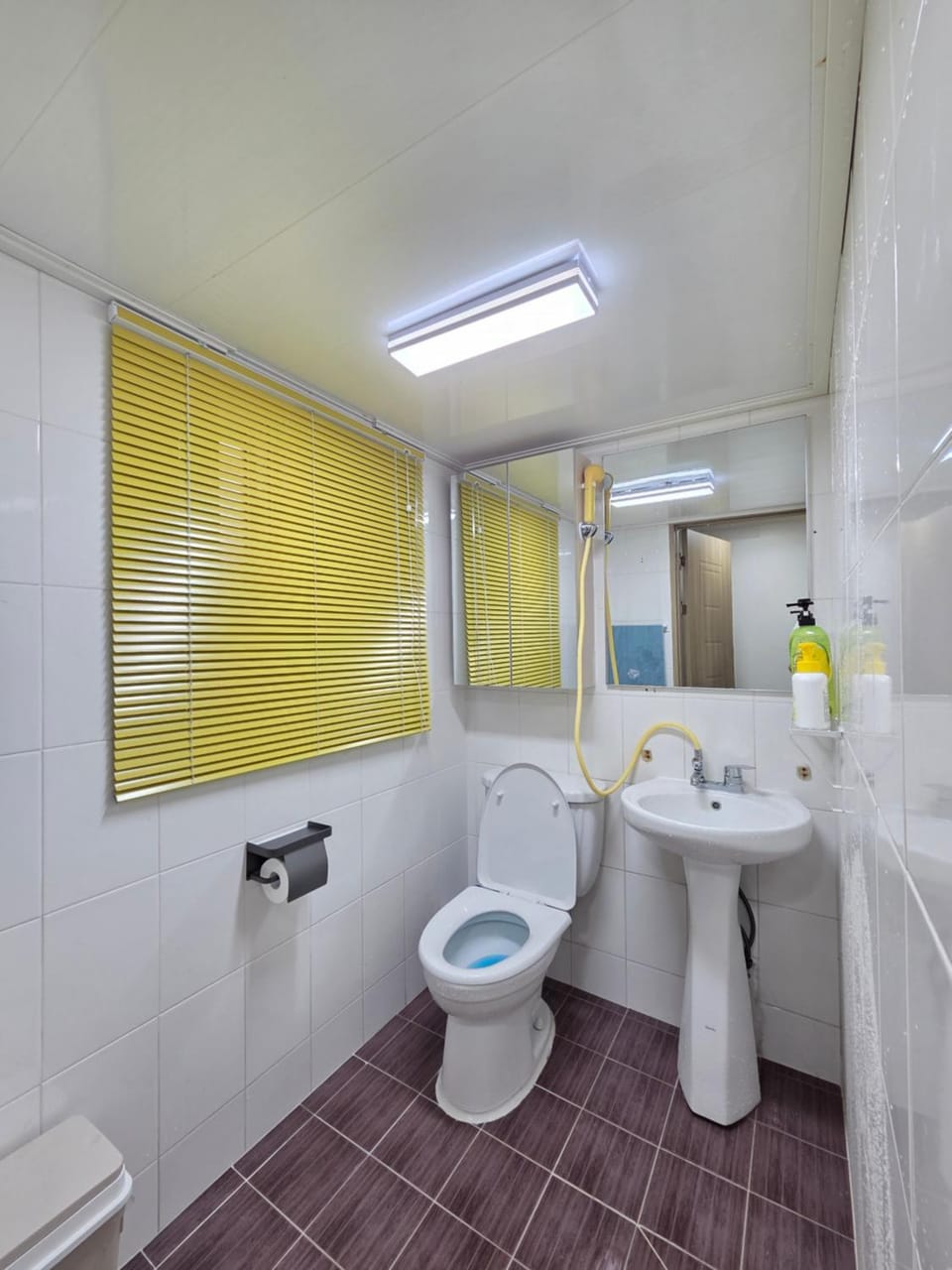 Toilet, Bathroom