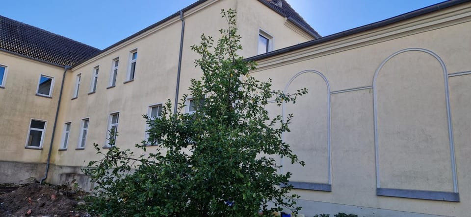 Property building, Day