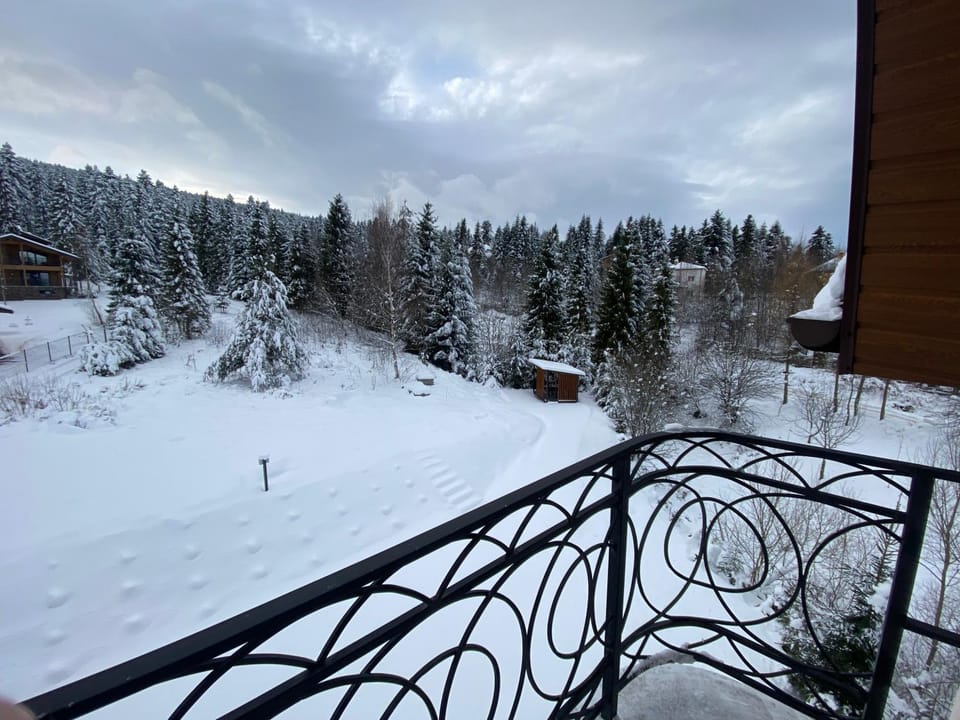 Day, Natural landscape, Winter, View (from property/room), Balcony/Terrace, Mountain view